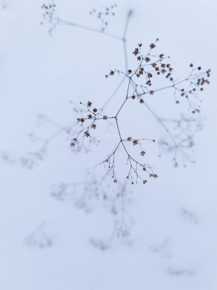 Photograph by Людмила