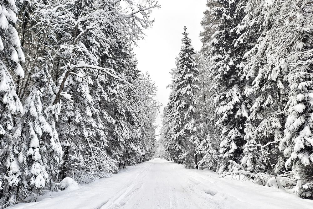 Photograph by Михаил Рассказ