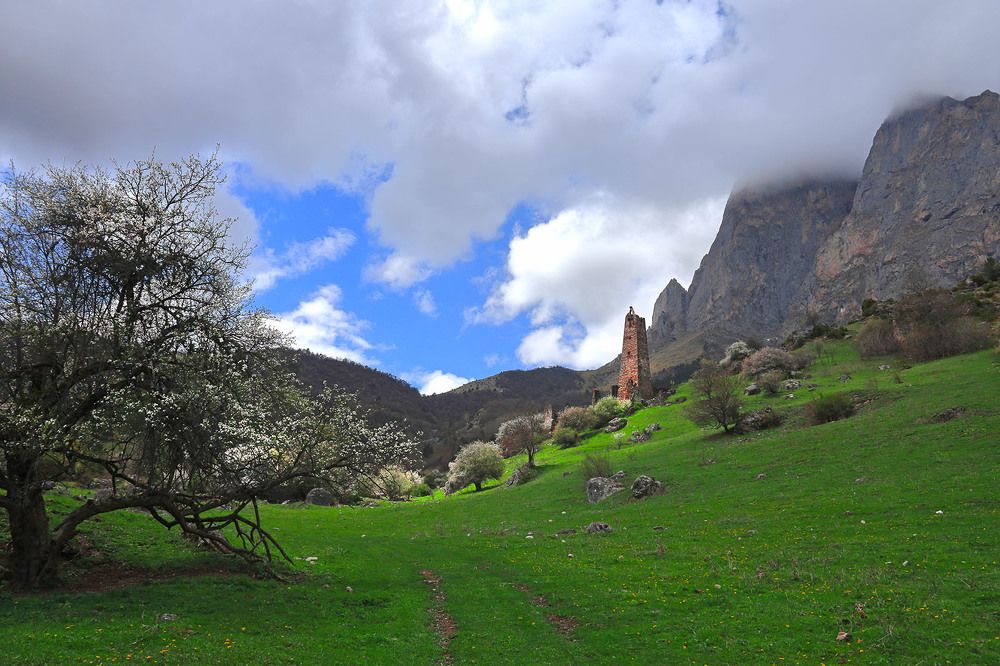 Photograph by Борис Резванцев