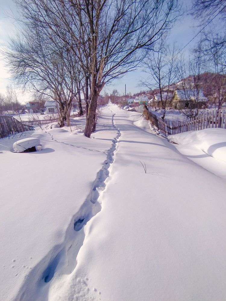 Photograph by Дарья