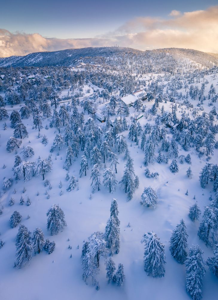 Photograph by Evgeni Fabis