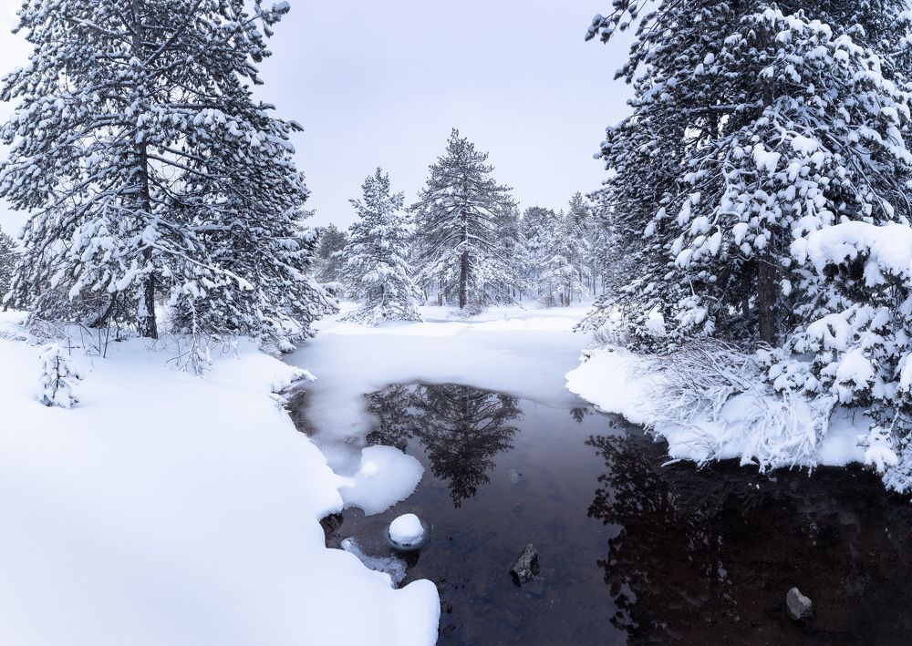 Photograph by Evgeni Fabis