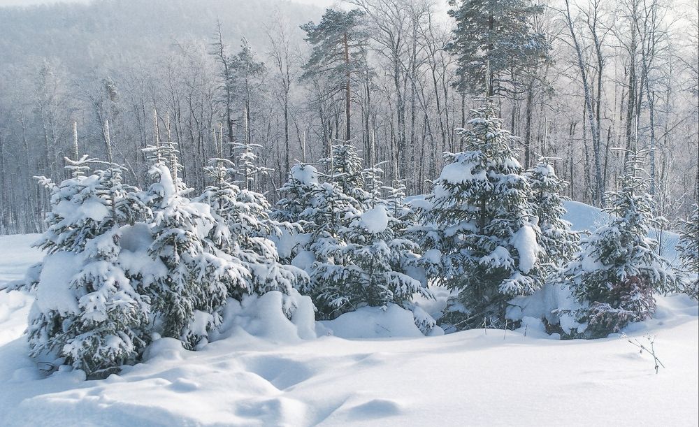 Photograph by Стас Неклюдов