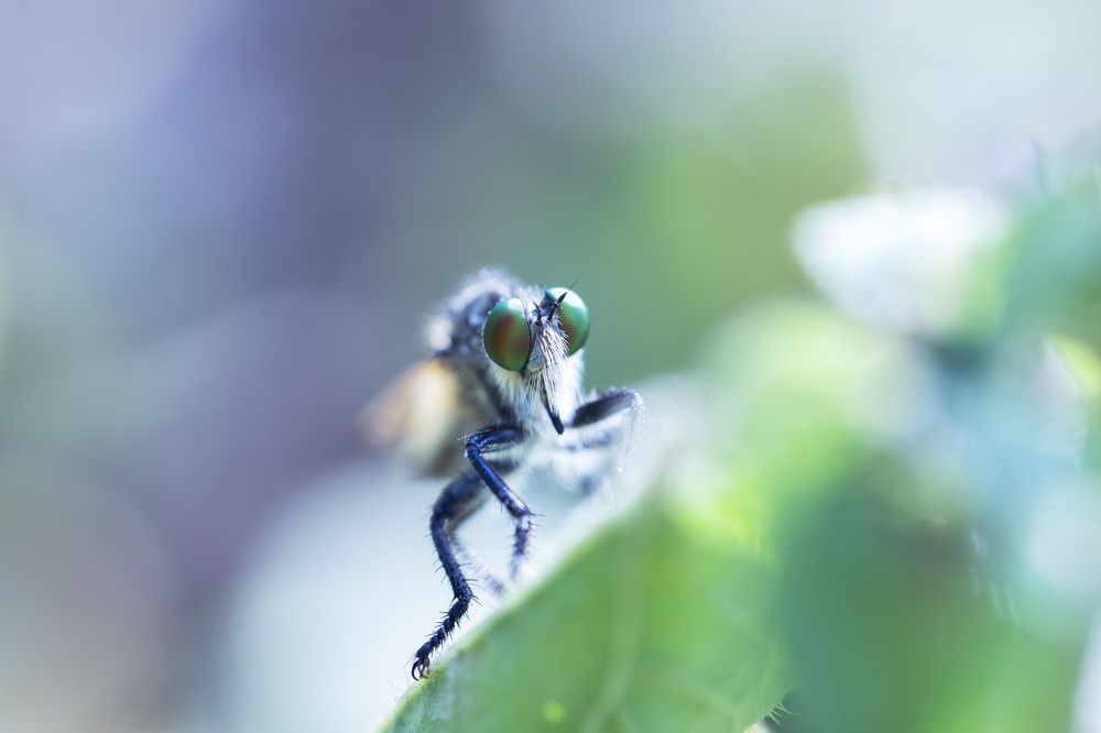 Photograph by Hemraj Chavhan A