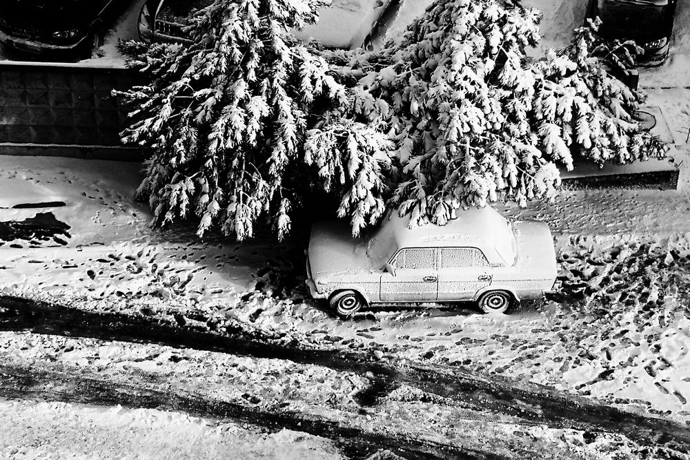 Photograph by Елена Николаева