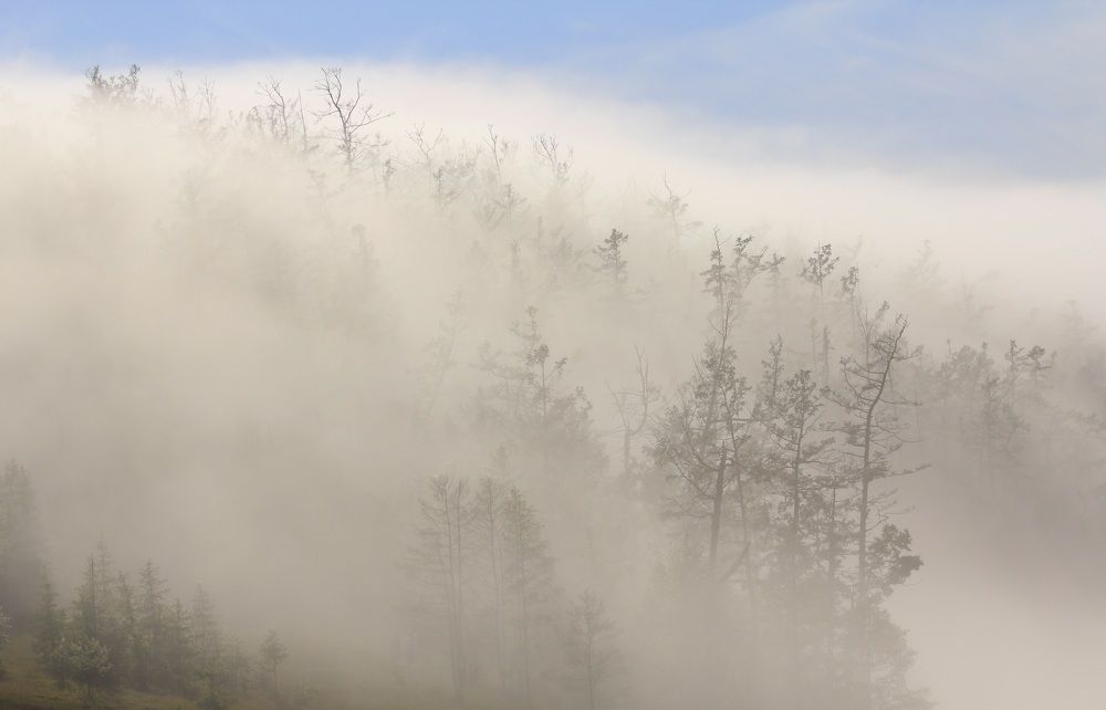 Photograph by Антон Смоляр