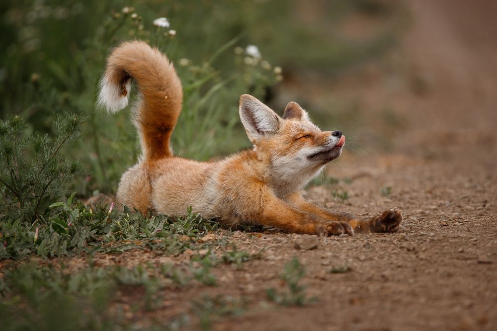 Photograph by Полина Сергеевна