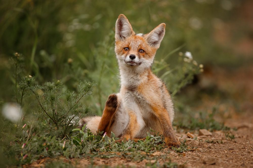 Photograph by Полина Сергеевна