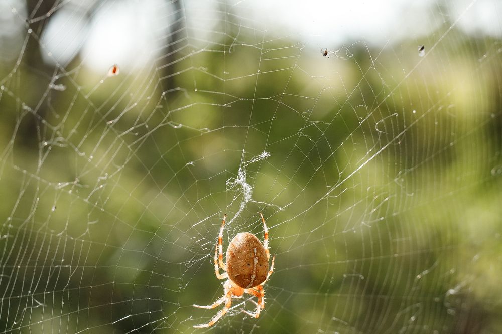 Photograph by Полина Сергеевна