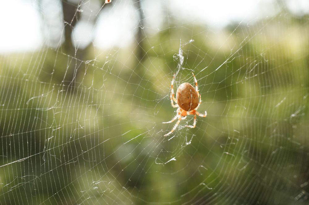 Photograph by Полина Сергеевна