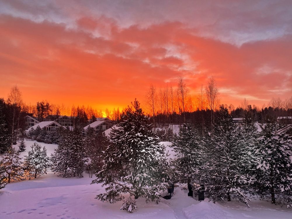 Фотография автора Ольга Клюева