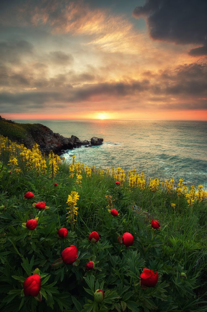 Photograph by Костадин Маджаров