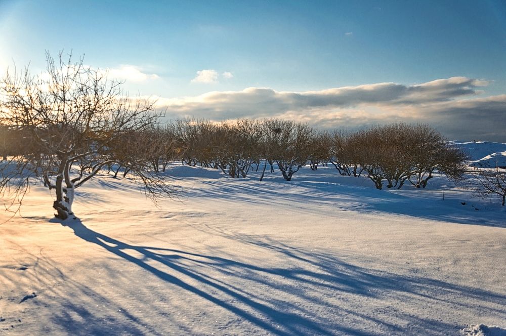 Photograph by Ольга Мальцева