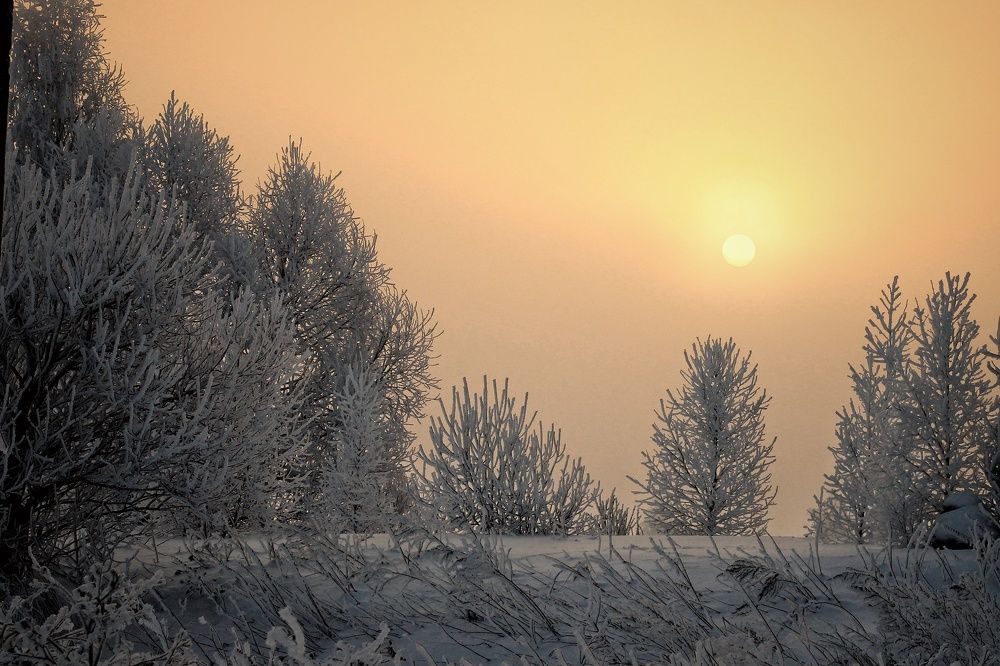 Photograph by Инна Карасева