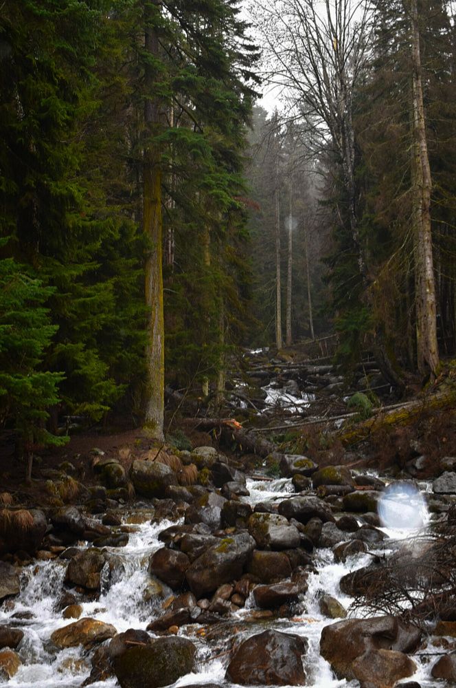 Photograph by Екатерина Гордеева