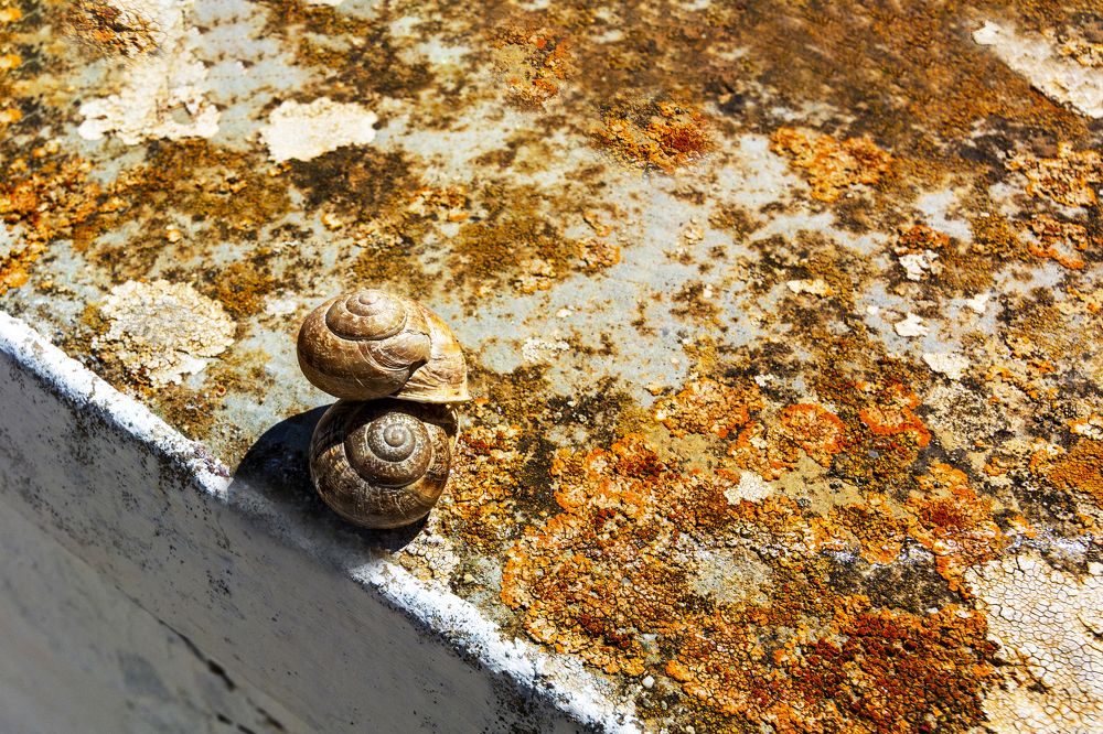 Photograph by Nikolai Barchan