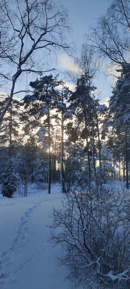 Photograph by Alena Gudz