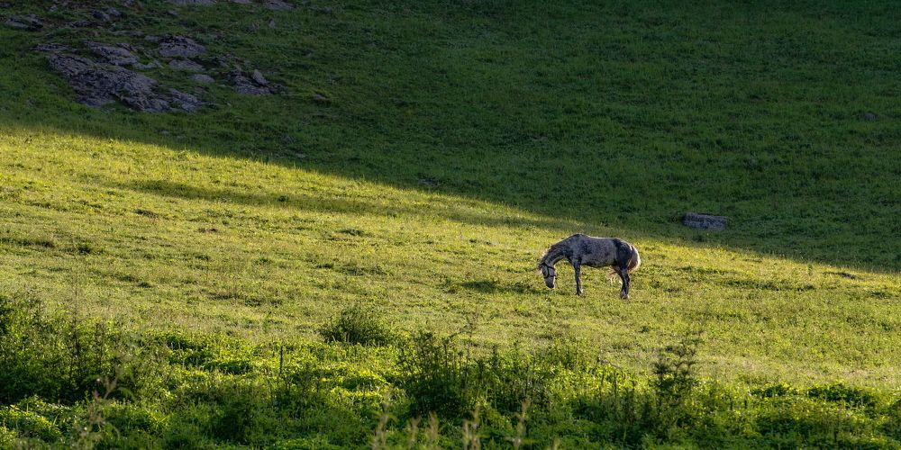 Photograph by Николай Васильев