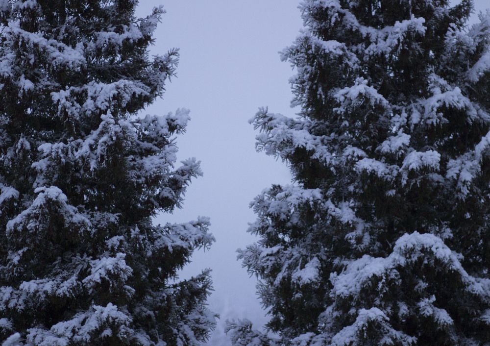 Photograph by Екатерина Филина