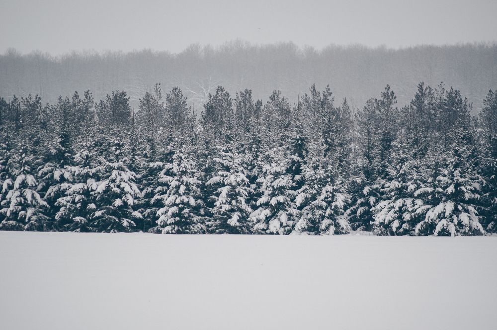 Photograph by Андрей Шишлов