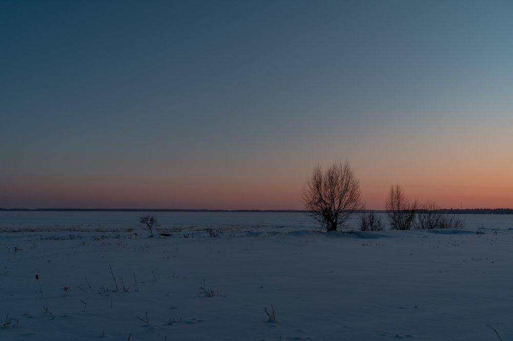 Photograph by Андрей Шишлов