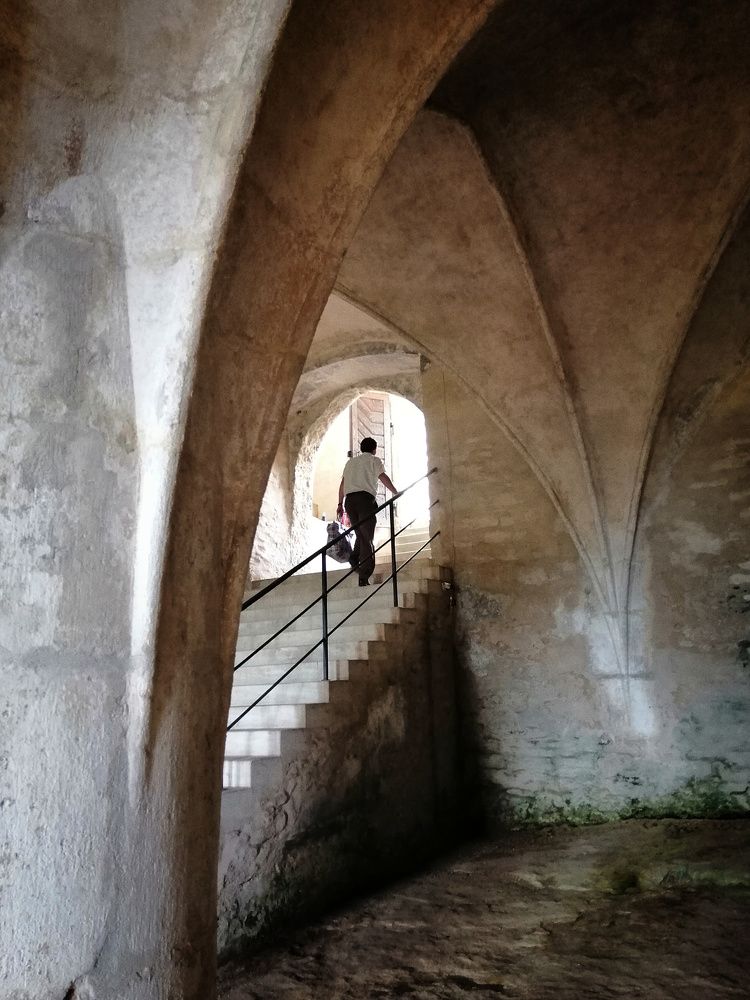 Фотография автора Мирослав