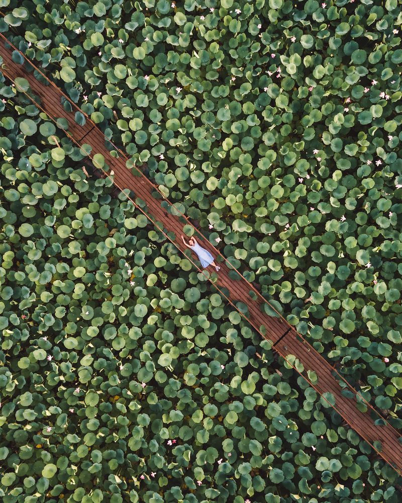 Photograph by Андрей Белавин