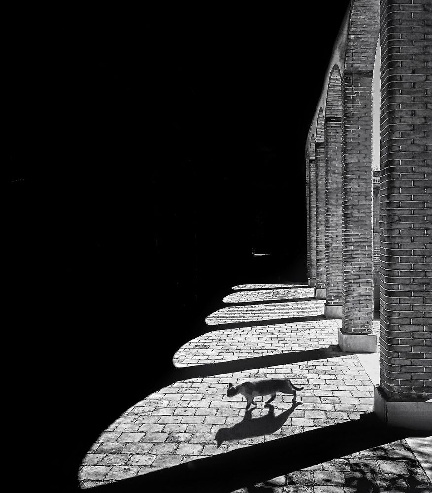 Photograph by Mojtaba Gitinezhad