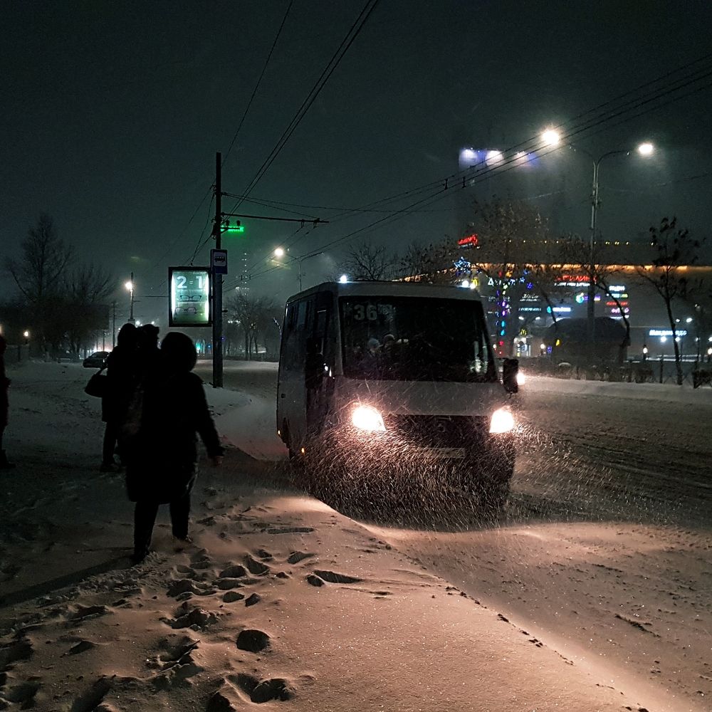 Снежная завеса