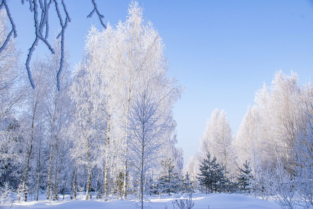 Photograph by 