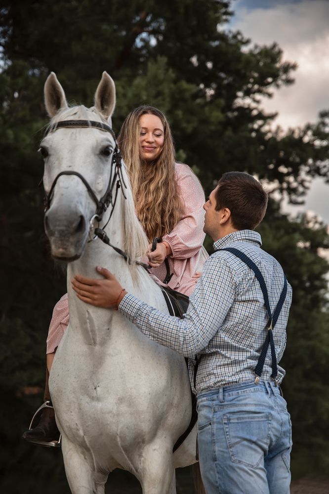 любовь и лошади