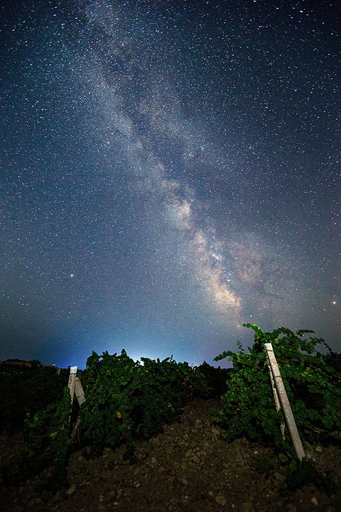 Photograph by Сергей С.