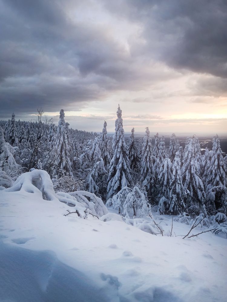 Photograph by Денис Полтораднев