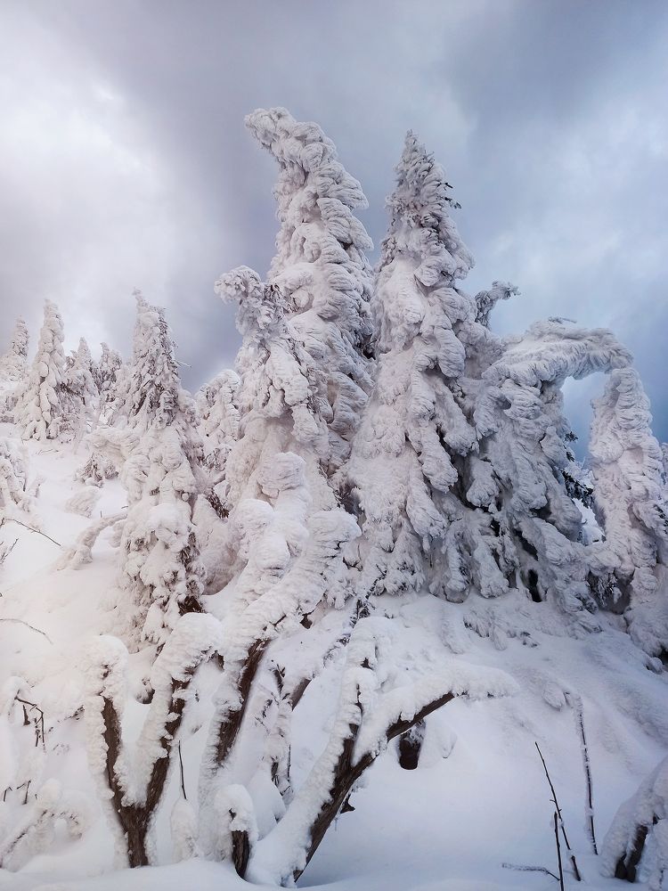 Photograph by Денис Полтораднев