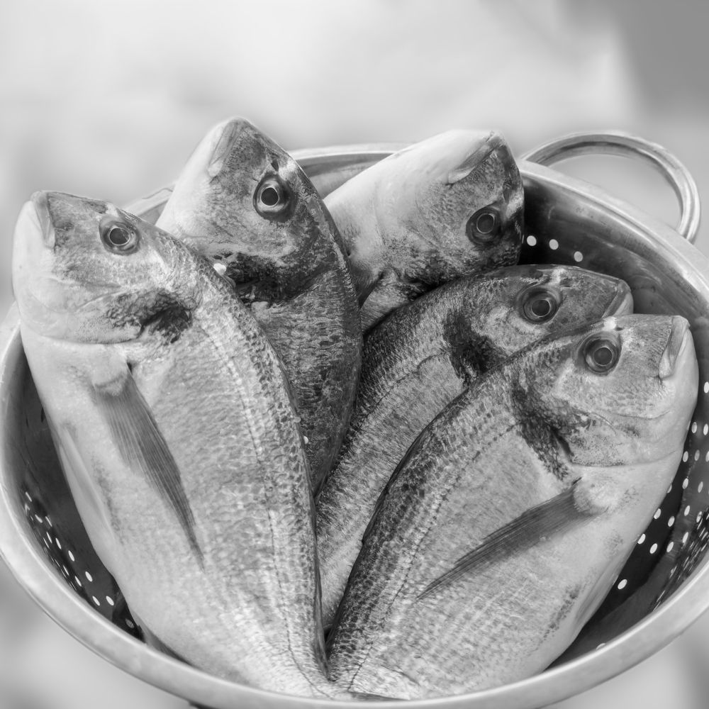 Фотография автора Denes Doma