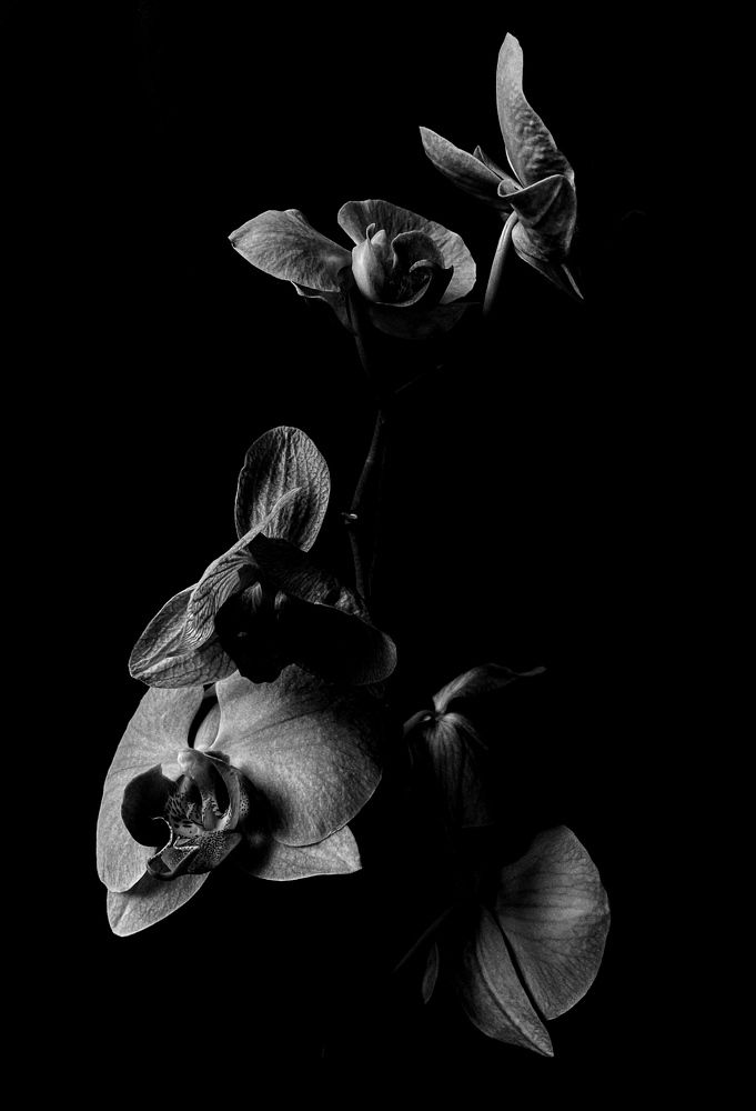 Photograph by MADiNA