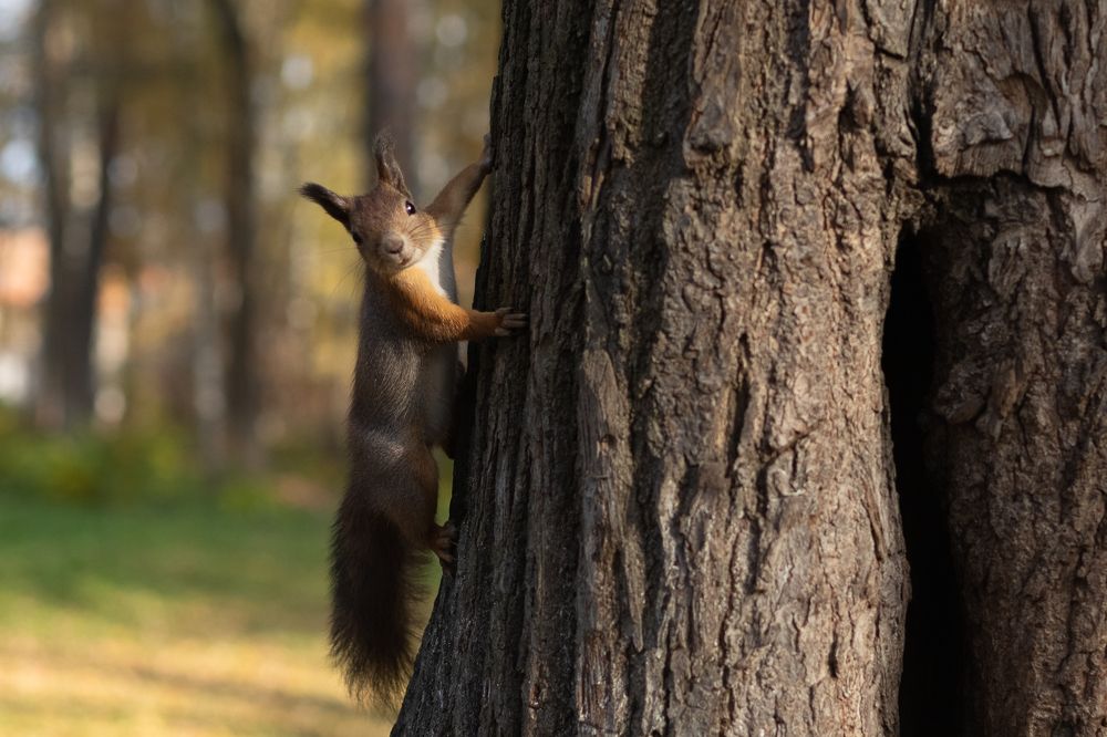 Photograph by Екатерина Бондаренко