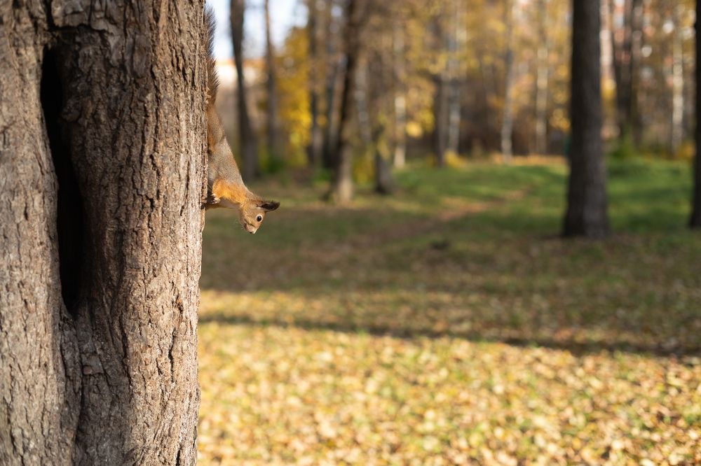 Photograph by Екатерина Бондаренко