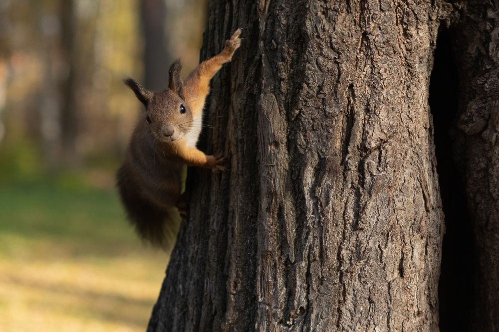 Photograph by Екатерина Бондаренко