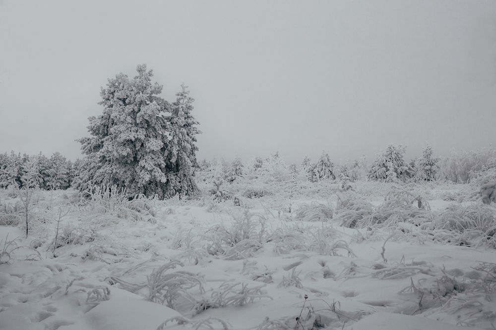 Photograph by Денис