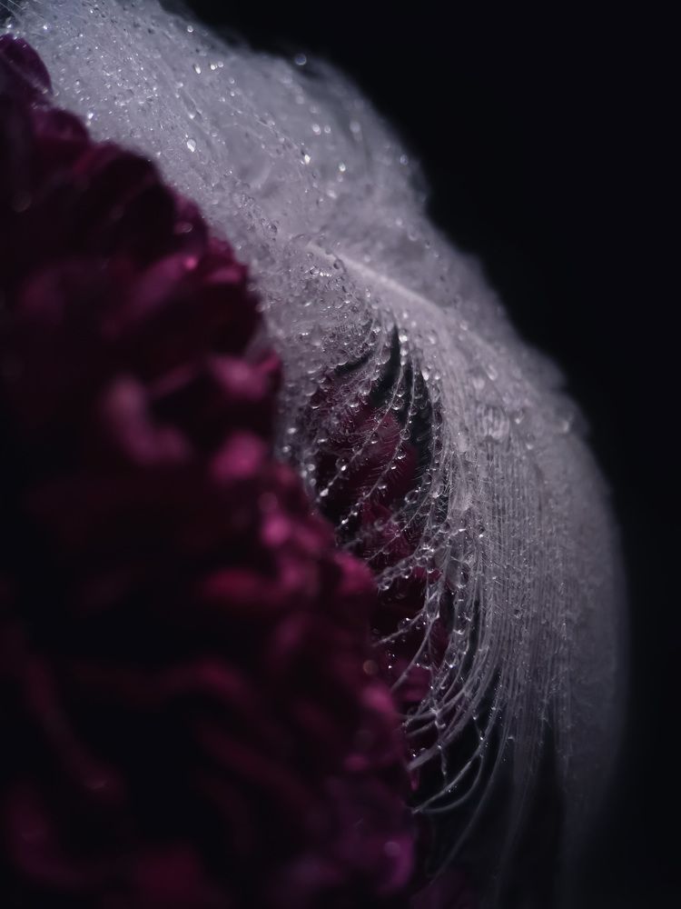 Photograph by Виолетта Афанасьева