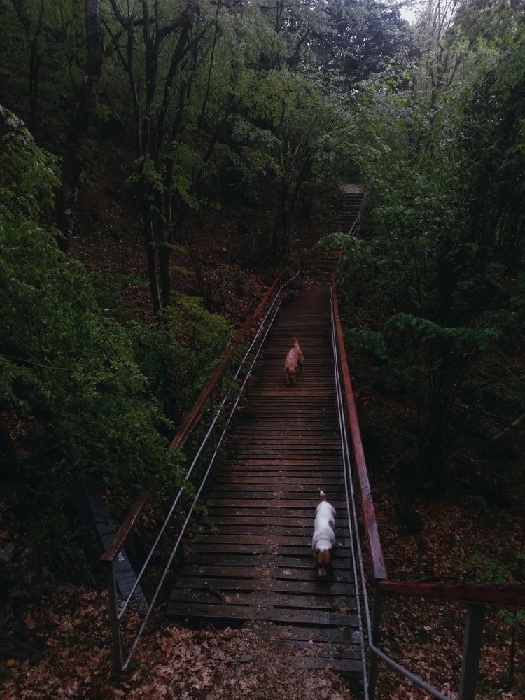 Photo #7166457