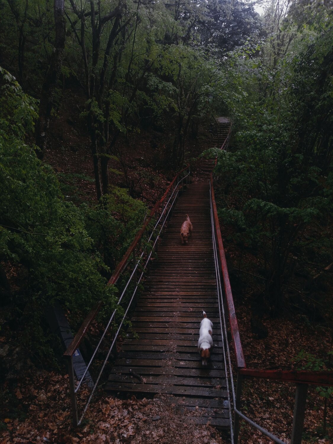 Photo #7166457