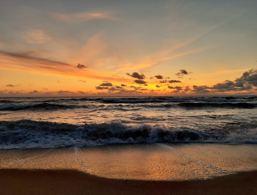 Янтарная волна