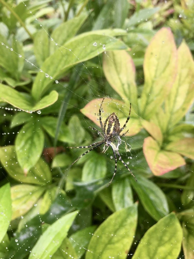 Photograph by Екатерина Бондаренко