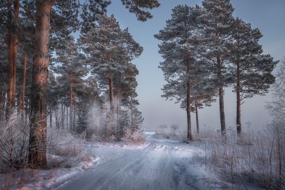 По заснеженным дорожкам