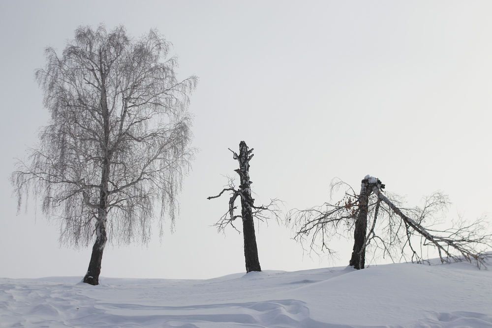 Photograph by Рания Шарипова