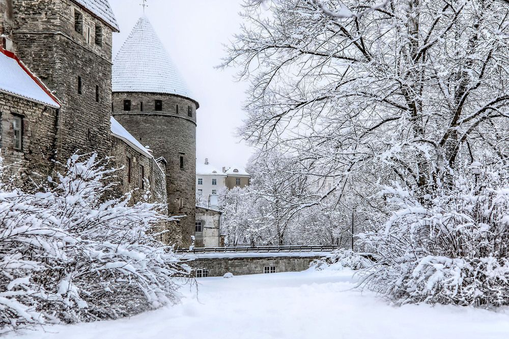 Зима в Тллине.