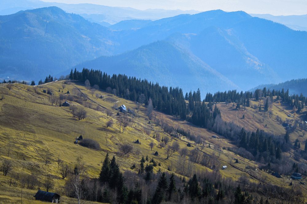 Фотография автора Наталія Савка