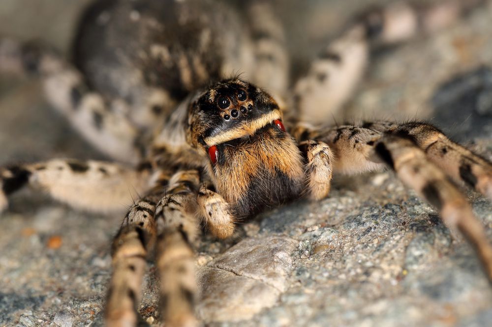 Photograph by Мурат Кужахметов